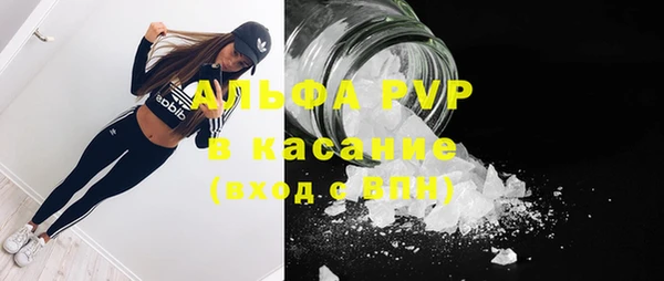 гашик Алексеевка