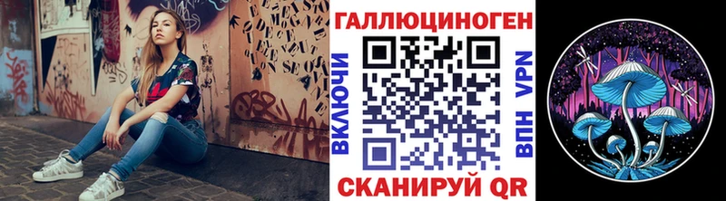 где продают наркотики  Камышин  Галлюциногенные грибы Psilocybe 