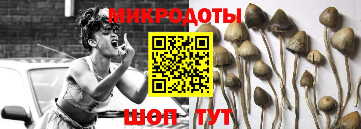 Галлюциногенные грибы GOLDEN TEACHER  Вход с VPN  Камышин  Галлюциногенные грибы GOLDEN TEACHER 